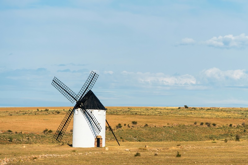 Hiszpańska oliwa z oliwek