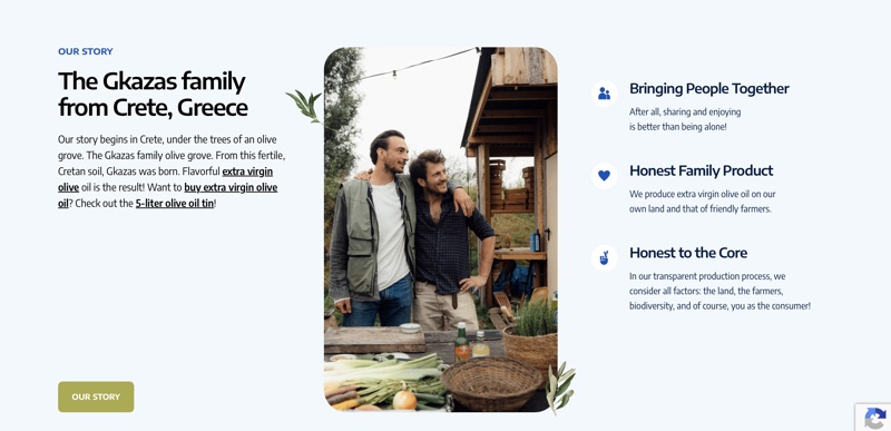 strona internetowa gkazas